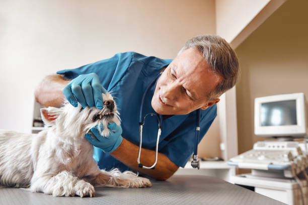Best Pediatric Emergency Dentist in Austell, GA